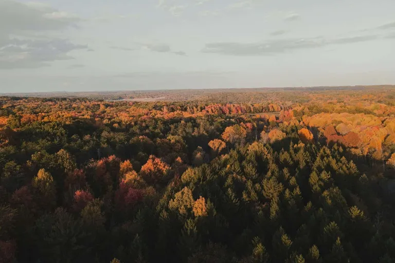 Fall Scenic View Trip