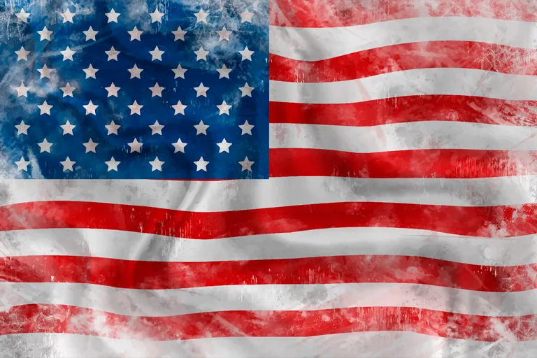 Veteran's Day Flag Event Image